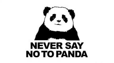 never say no to panda!