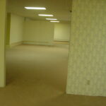 The Backrooms, en 22 épisodes